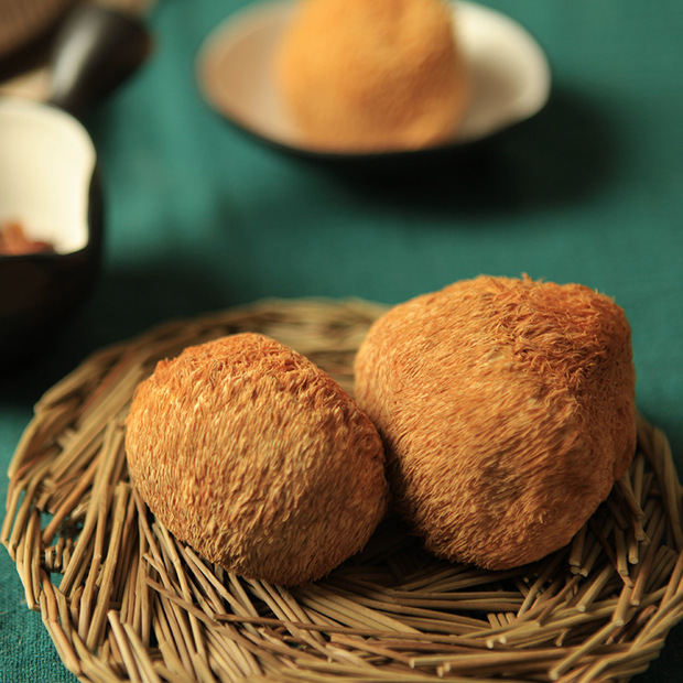 源头厂家东宁猴头菇干货东北特产批发 新鲜猴头菇