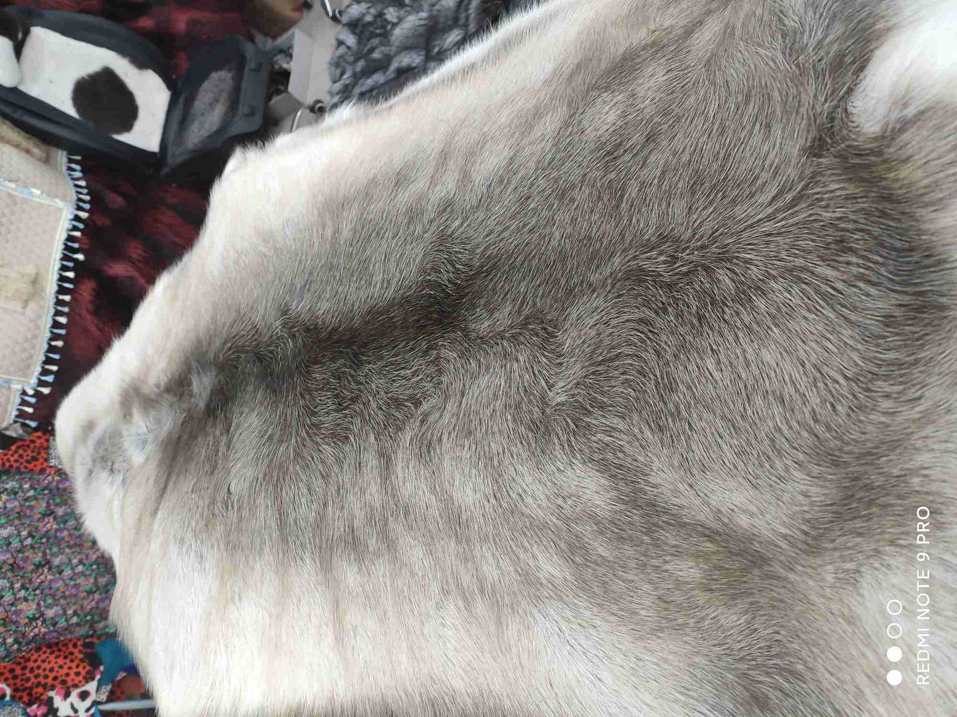 狐狸皮褥子-狐狸皮褥子厂家,品牌,图片,热帖-阿里巴巴