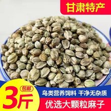 麻子鸟粮 纸壳麻子大粒牡丹鹦鹉粮奖励零食油纸皮火麻籽鸽粮鸟食