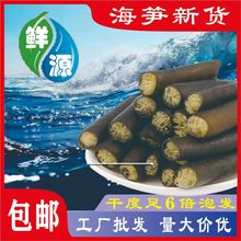 南极海笋工厂直供海茸丝冰笋黄金海茸条金茸片海鲜干货凉拌菜素食