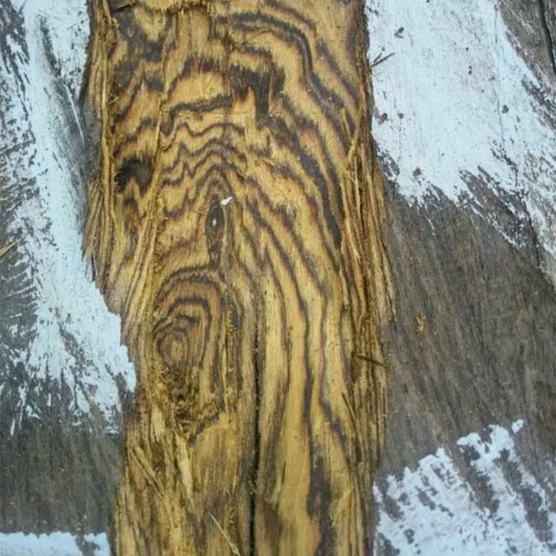 进口墨西哥黄金檀木 虎斑檀原木 黄金檀木方料-阿里巴巴