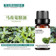 厂家供应现货马齿苋精油 植物单方精油原料批发 报送码 马齿苋油