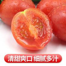 现摘贵州农家圣女果斤新鲜水果西红柿子特甜樱桃小番茄种籽蔬菜