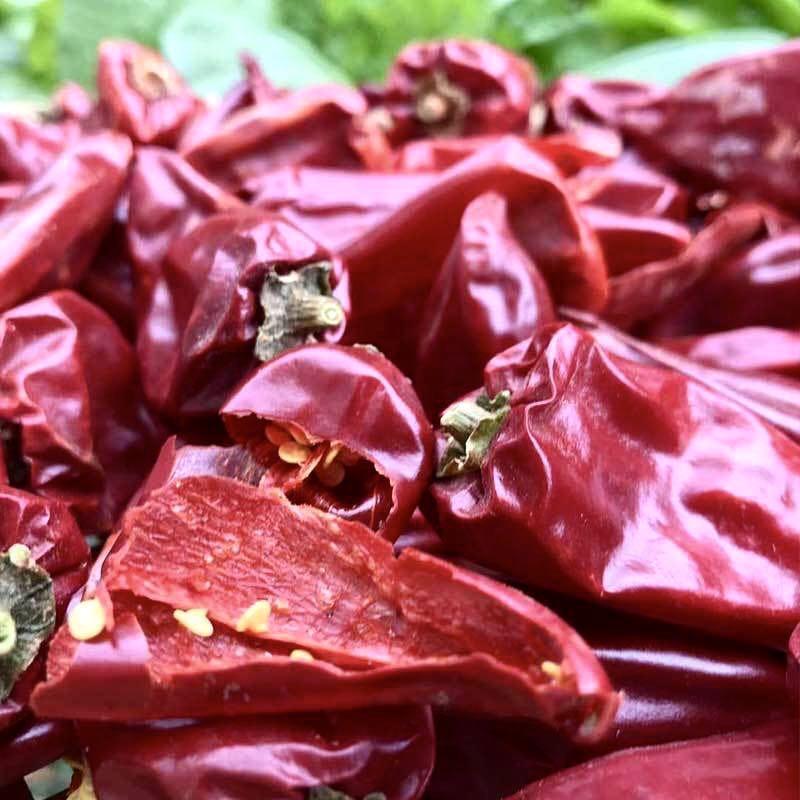 不辣出红油红不辣辣椒粉辣椒面铁皮板椒北京红益都红一点都不辣批