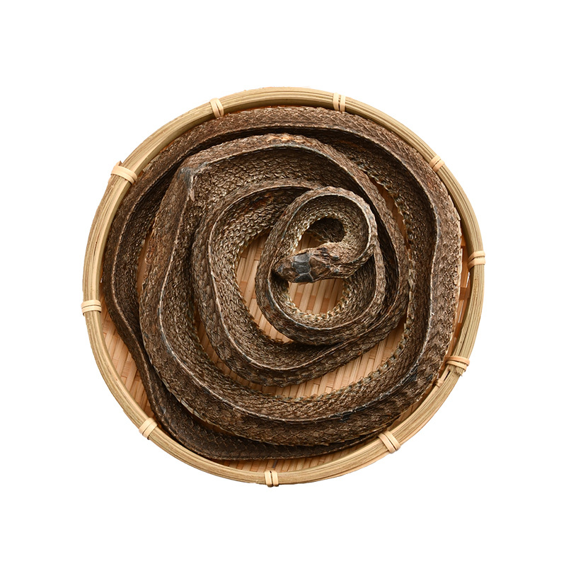 乌梢蛇 产地货源 乌梢蛇泡酒药材乌蛇干乌梢蛇 乌梢蛇干现货批发