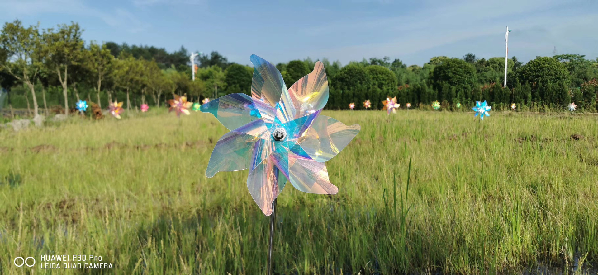 幻彩发光春季户外公园风车装饰镭射膜商场橱窗游乐园创意美陈厂家