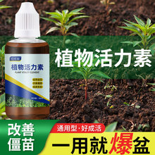 贝可施生长活力素浓缩通用型营养液花卉肥养多肉肥料厂家批发代发