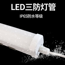 一体化led三防灯防尘防潮冷库食品厂车库IP65日光灯管净化线条灯