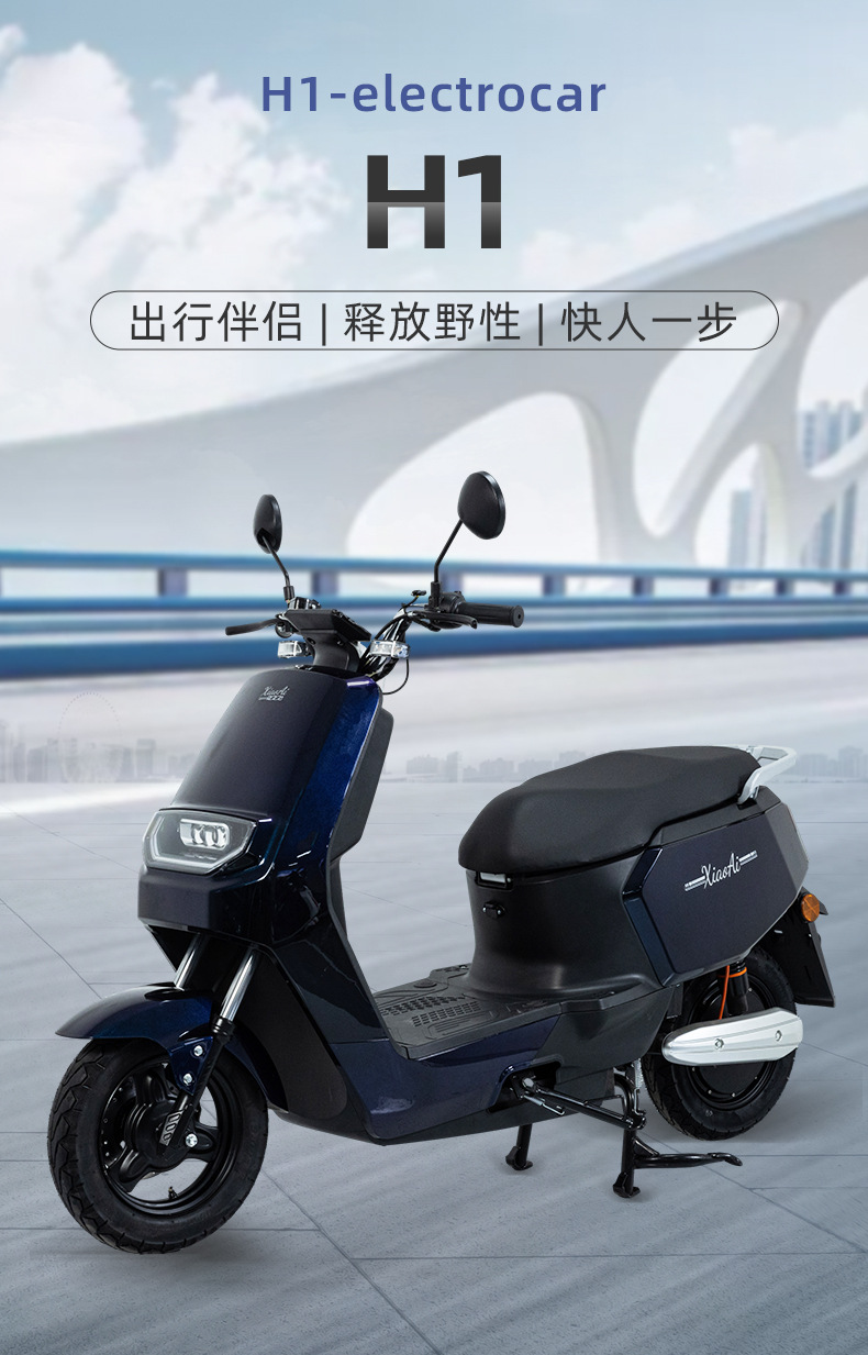 h1厂家进出口电动车成人电摩48v电动车二轮车电动摩托车跨境外贸