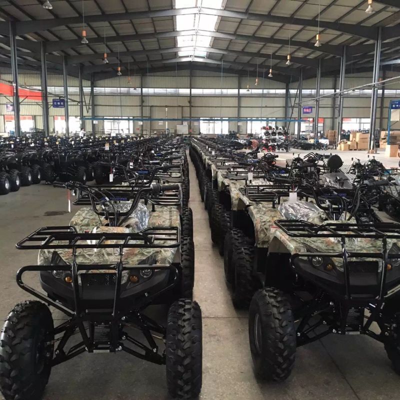 跨境定制各种沙滩摩托车虎年新款atv全地形沙滩车自动挡无极变速