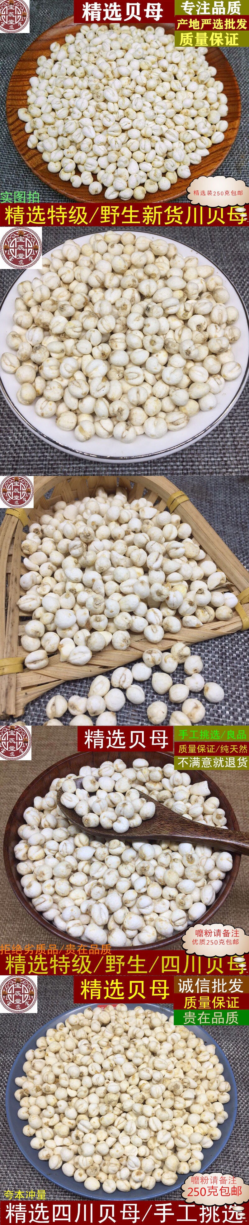 材川贝母精选小贝母松贝四川正宗天然特级小川米贝可礳粉