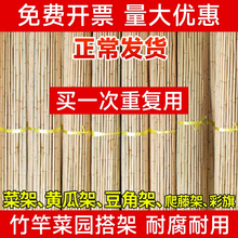 迪仕凯竹竿菜园搭架葡萄架蔬菜爬藤豆角架黄瓜长竹杆篱笆栅栏防腐