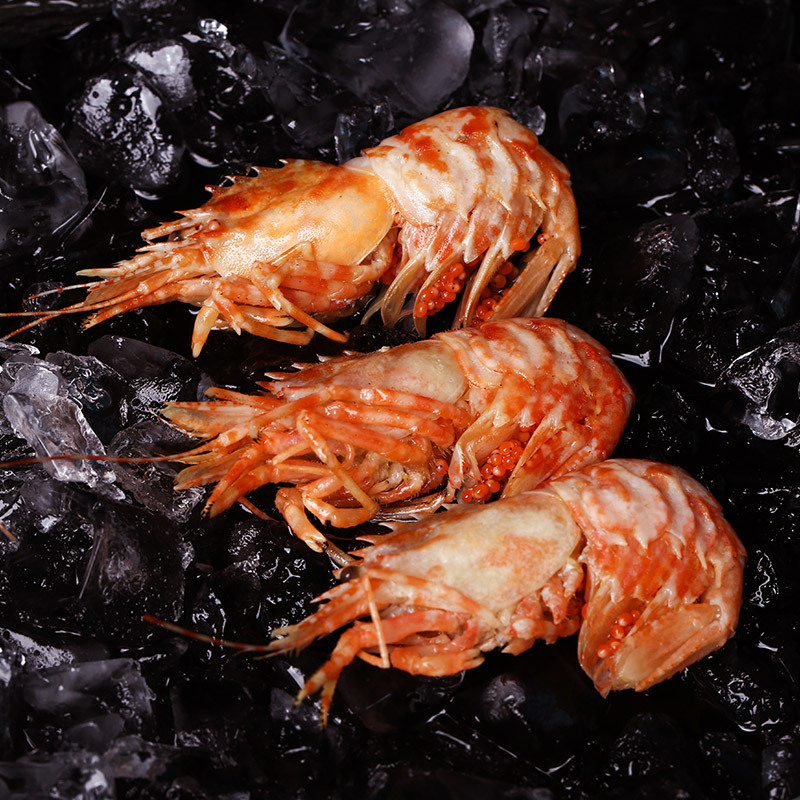 味库熟冻俄罗斯格陵兰虾北极甜虾腹籽莱伯虾冷冻开盒即食火龙虾