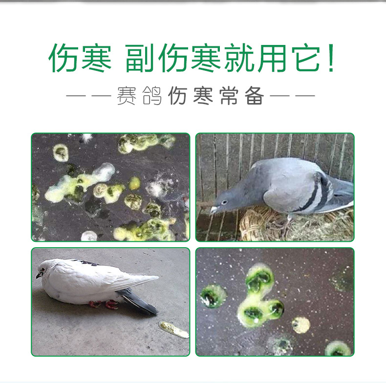 鸽药大全赛信鸽大肠杆菌沙门氏副伤寒停鸽子药伤寒灵oem贴牌加工