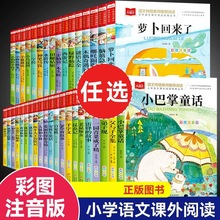 小巴掌童话小学语文课外阅读经典丛书大语文系列注音版金波