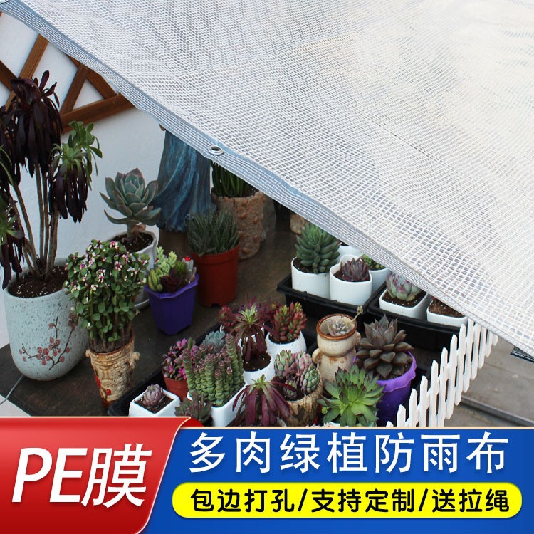 多肉遮雨布防水透明加厚棚罩花架窗台庭院户外挡雨防晒遮阳网篷布