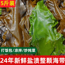 24年头茬威海荣成整颗盐渍嫩海带整箱5斤新鲜裙带菜打饭包的海带