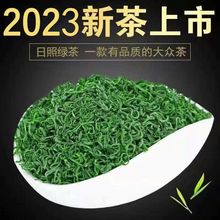 日照绿茶2023新茶叶 浓香型耐泡特级春茶500高山绿茶叶新茶