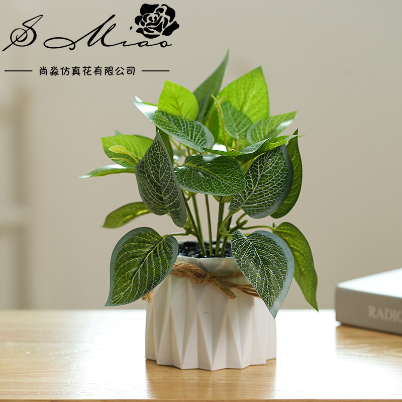 【麻绳花】-麻绳花厂家,品牌,图片,热帖-阿里巴巴