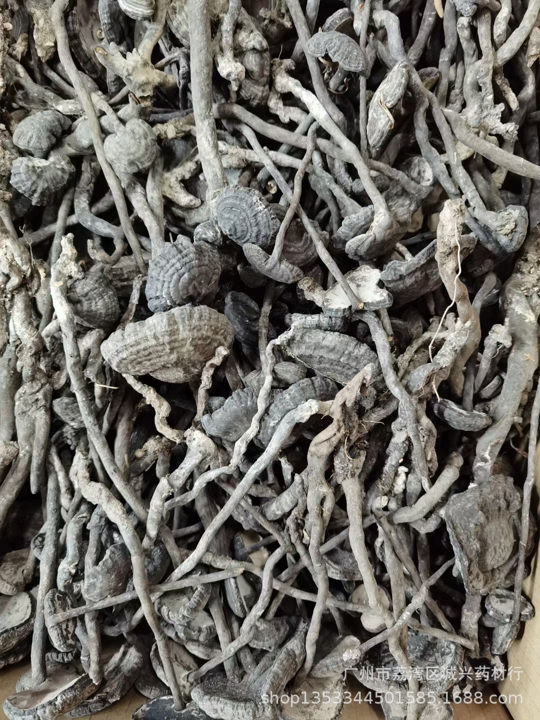 血灵芝 假芝 -阿里巴巴