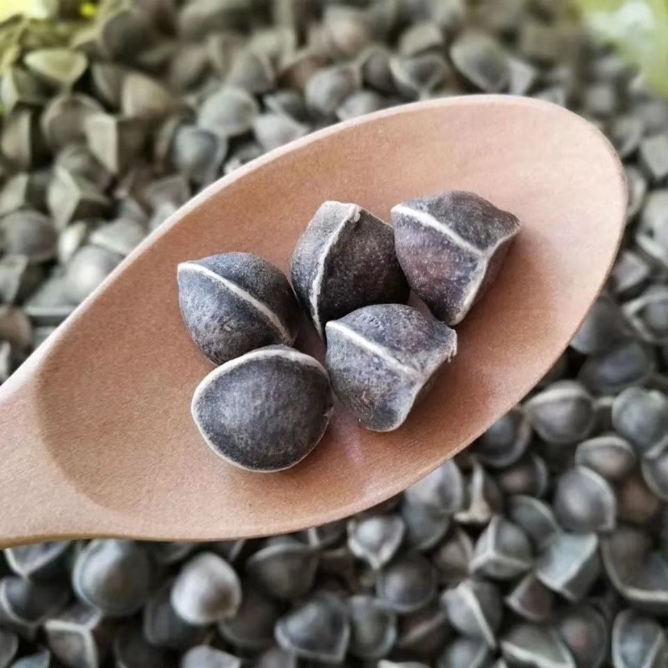 热线18049171859商品描述包装规格印度辣木籽【50克】