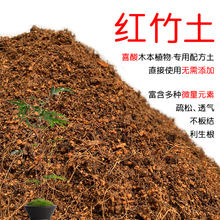 红竹土盆栽种植红竹土酸性土壤沙性土花泥通用营养土花肥