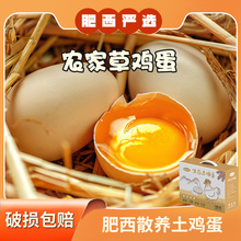安徽特产肥西老母鸡农家土鸡蛋散养鸡生的蛋10枚生态农场直供批发