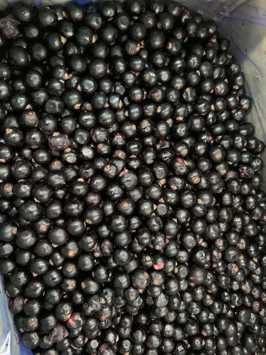 速冻黑莓1公斤 新鲜冰冻黑莓 冷冻黑树莓 奶茶甜品蛋糕装饰水果