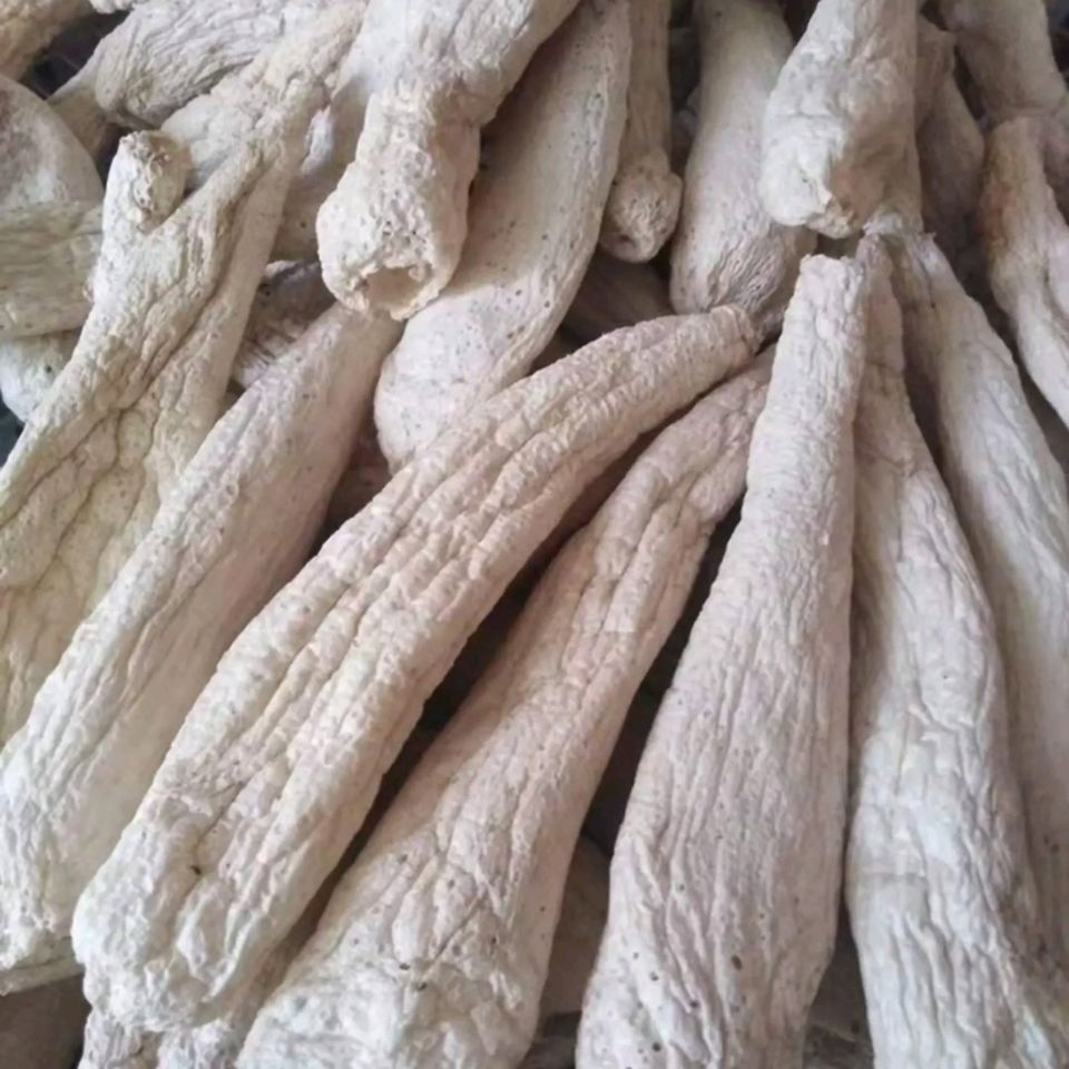 贵州省大方县土特产自家种植的竹荪冬荪采收了,干冬荪,鲜冬荪