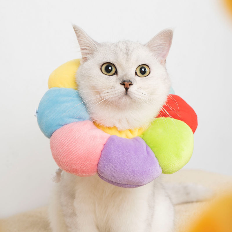 猫咪脖圈伊丽莎白项圈头套耻辱圈可爱彩虹绝育猫防抓咬防舔宠物用