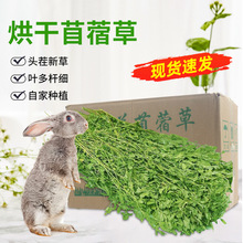 2023年烘干苜蓿草 龙猫荷兰猪兔子宠物粮食饲料1KG/箱紫花苜蓿草