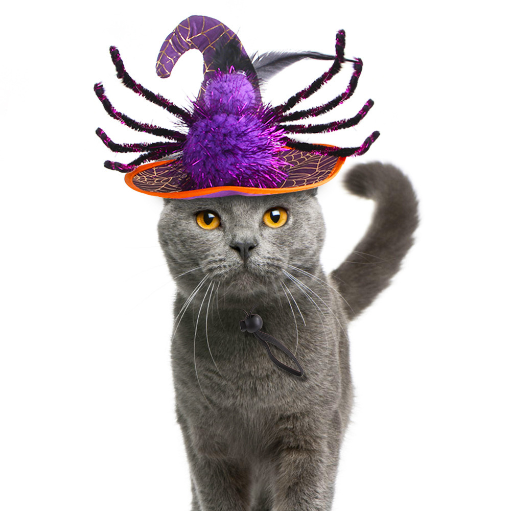 New Cross-Border Pet Funny Headdress Cat Halloween Hat Spider Headgear Dog Funny Supplies in Stock