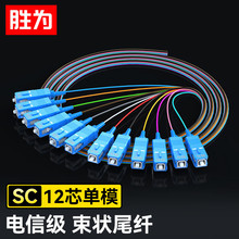 胜为电信级光纤跳线尾纤1.2米12芯单模SC/FC/LC束状尾纤ODF单元体