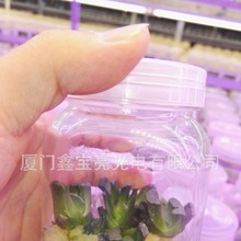 工厂T8植物灯LED植物灯金线莲多肉组培专用灯植物育苗工厂