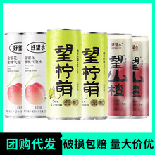 好望水望山楂佛手柠檬蜜桃果汁气泡水330ml*24瓶碳酸饮料整箱批发