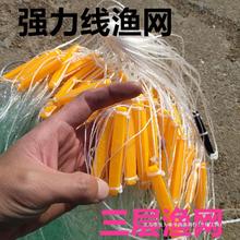 三层3指渔网捕鱼网丝网粘网海网海鱼30斤三米塑料浮漂沾网3米高