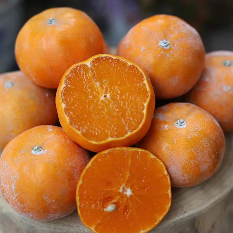 广西武鸣茂谷柑脏脏柑新鲜水果柑橘橘子5斤9斤装现摘现发