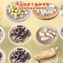 仿真名贵中药材标本道具模型科普教具橱窗摆设道具展厅陈列品开票