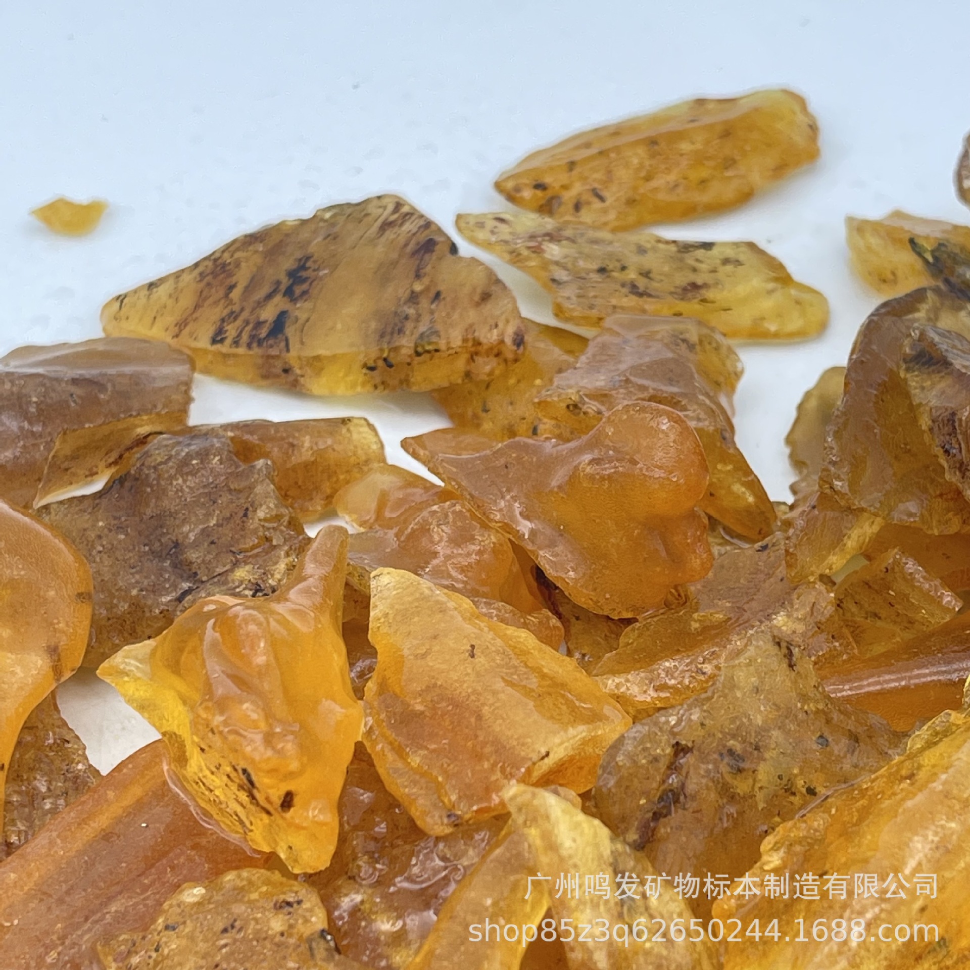 天然柯巴树脂原石琥珀带昆虫原石摆件教学标本小块蜜蜡矿物晶体