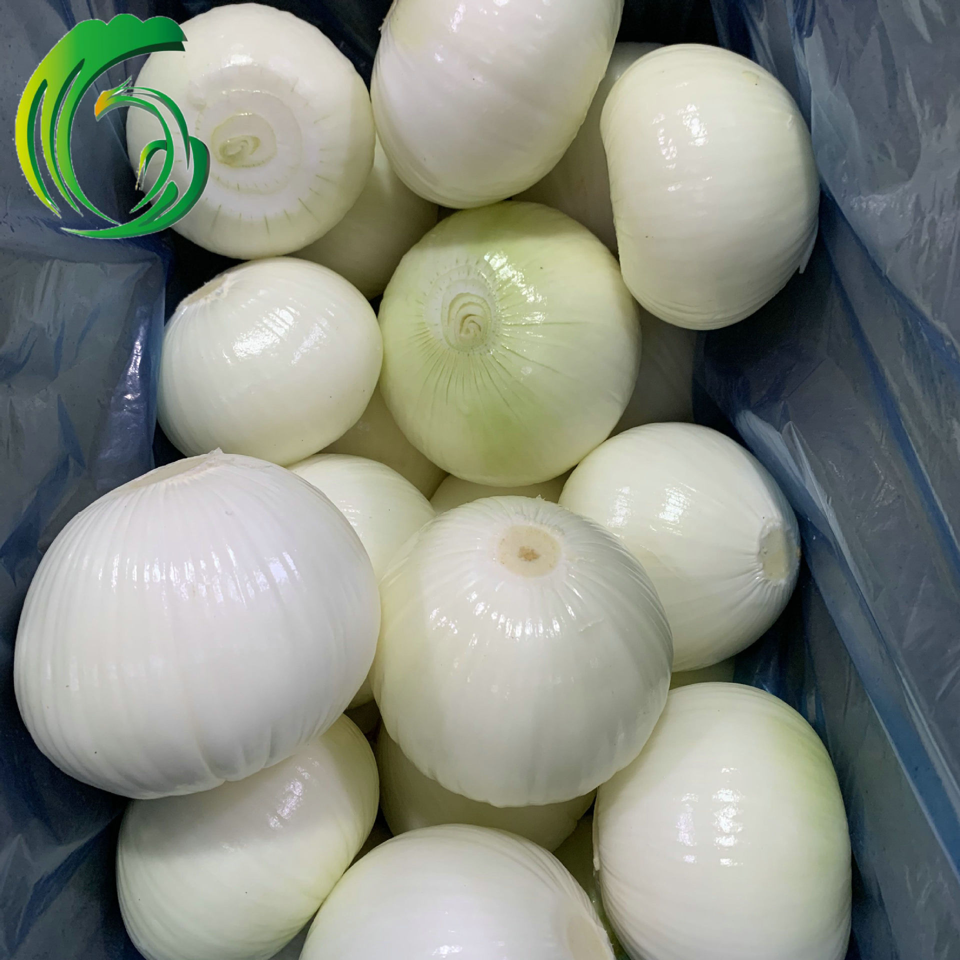 剥皮洋葱 工厂直供 山东产地 备案种植基地产 出口韩国 brc认证