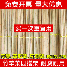 竹竿菜园搭架蔬菜爬藤豆角架黄瓜长竹杆篱笆栅栏防腐彩旗杆细竹子