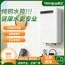 跨境外贸户家用燃气热水器室外机智能恒温零冷水电辅防冻天然气