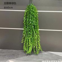 绿植壁挂波斯草蕨类草吊顶墙挂吊兰花绿色植物藤条垂吊装饰