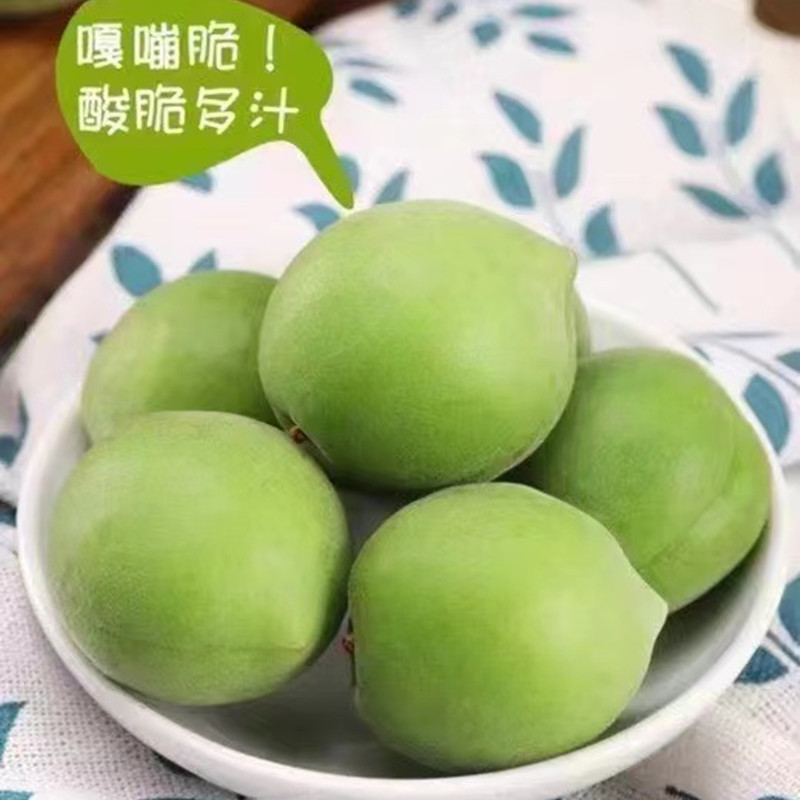 【福建新鲜青梅 顺丰为主】青梅果 泡青梅酒 话梅5斤新鲜水果代发