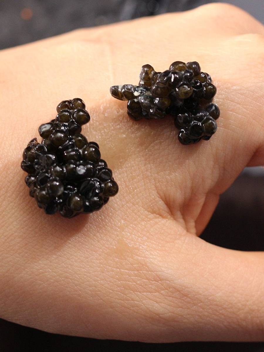 阿拉王鲟鱼子酱即食caviar深海7年鲟鱼黑鱼籽酱罐头10g寿司大颗粒