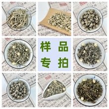 2023新茶茉莉花茶样品试喝拿样广西横县厂家散装茶王玉螺批发代发