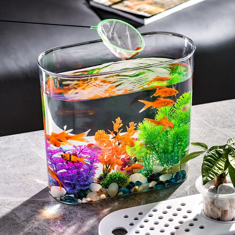 New Plastic Clear with Cover Oval Water and Soil Culture Fish Tank Living Room Office Desk Surface Panel Small Ornaments Fish Globe