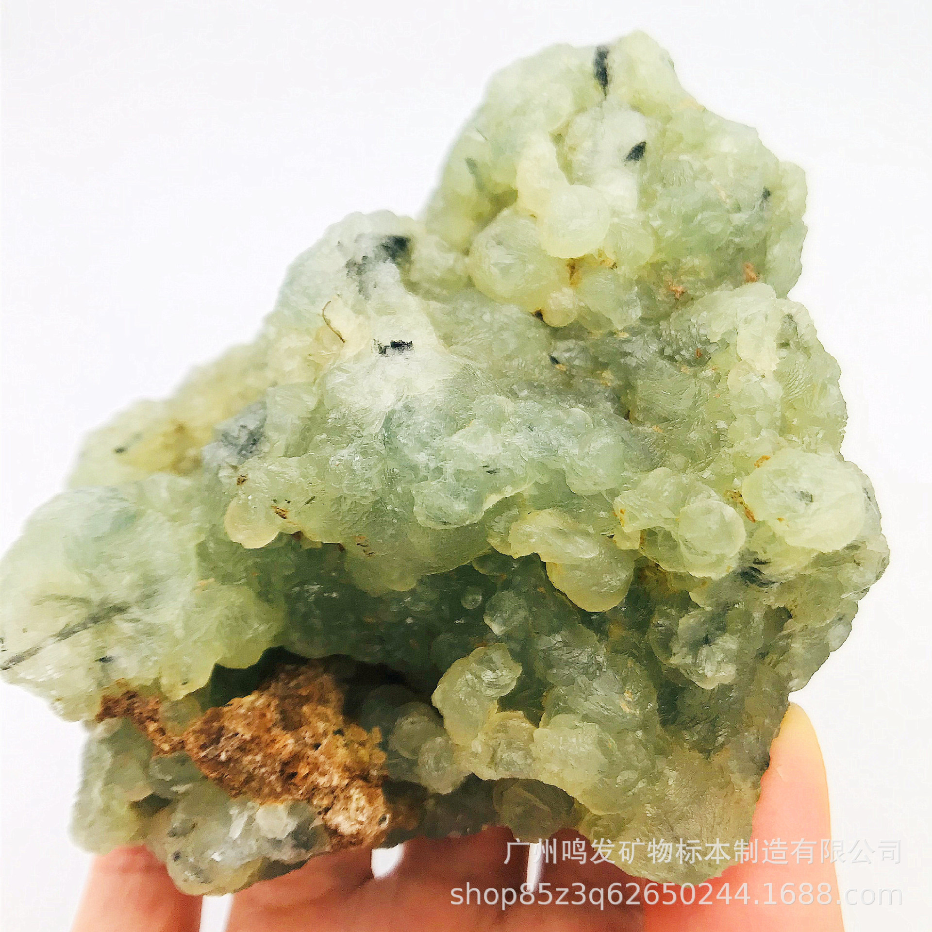 天然石绿色葡萄石原石地质矿物晶体教学标本收藏奇石共身碧玺