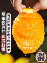 夏橙新鲜水果秭归脐橙现摘9斤包邮湖北孕妇橙子非伦