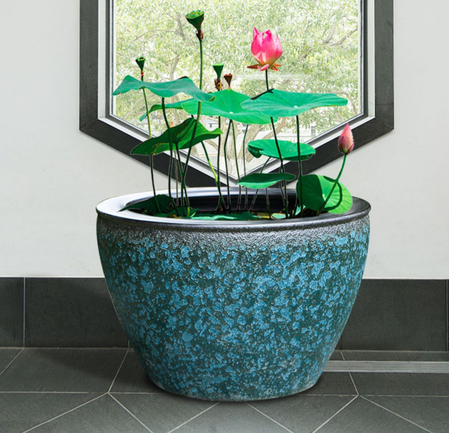 景德镇粗陶陶瓷鱼缸睡莲盆荷花大缸碗莲盆缸庭院仿石大水缸锦鲤缸